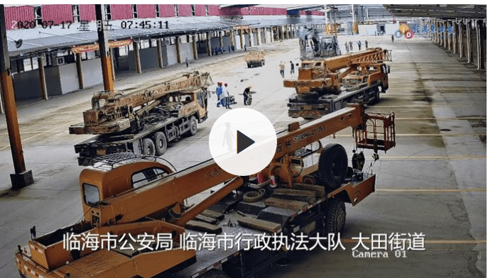 临海河马最新动态,探索与发现之旅
