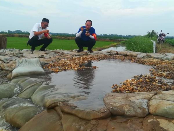 湖北监利洪水最新动态,众志成城,共同抗击洪灾